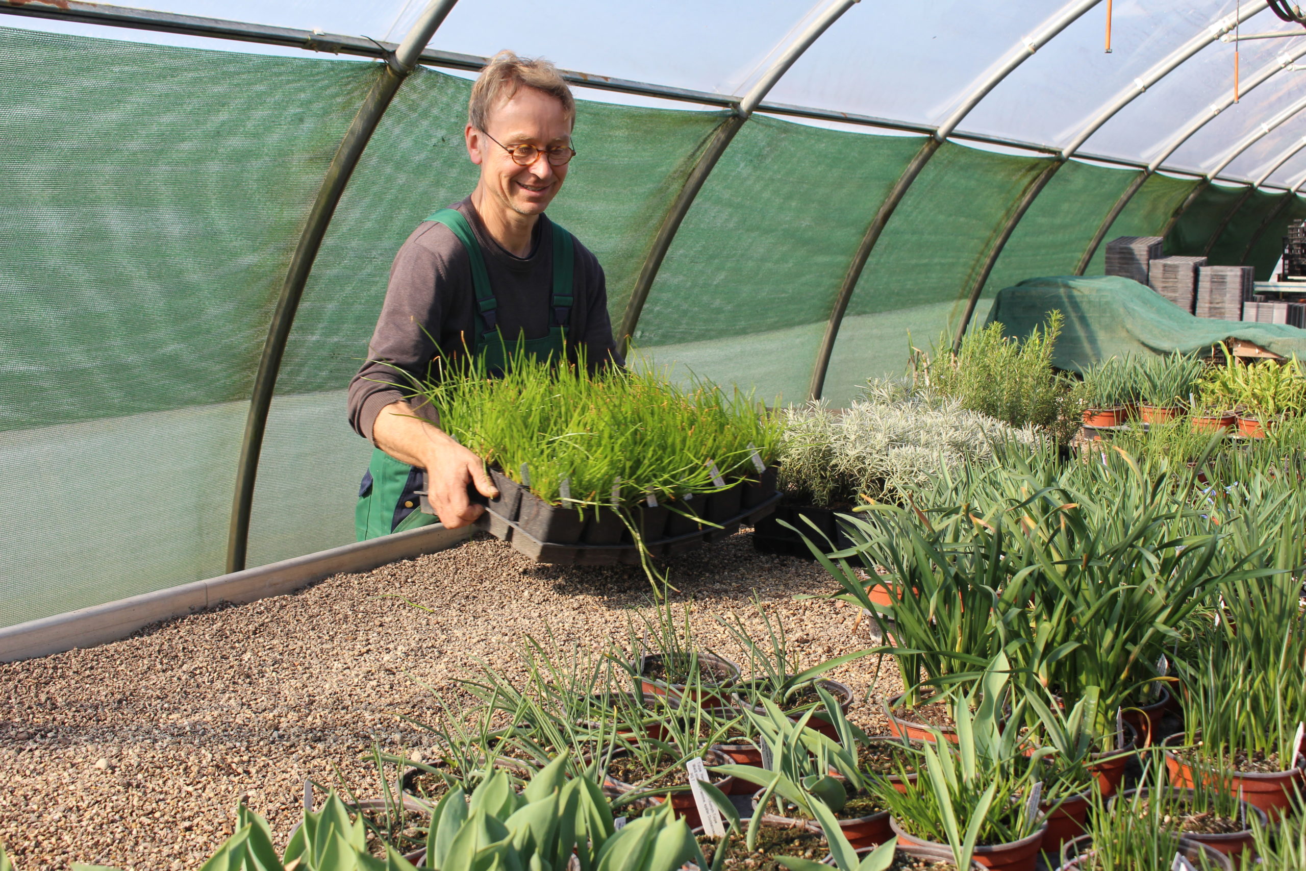 Stefan Huthmann steht in grüner Schürze in einem Gewächshaus, umgeben von einer Vielzahl an Pflanzen in Töpfen und hält ein Tablett mit Schnittlauch.